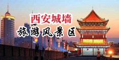 骚B被干肿了直流白浆淫水视频中国陕西-西安城墙旅游风景区